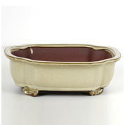 Vaso Cermica Bonsai - Rectangular - 25 x 21 x A8